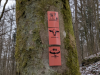Wanderung mit Wintergrillen, Teilstück des Rodalber Felsenwegs,
16. Februar 2025